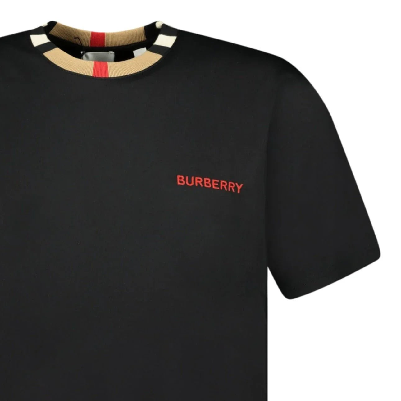 Camiseta Jayson Burb.